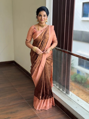 HouseOfCommon Self Design Banarasi Art Silk Saree(Multicolor)