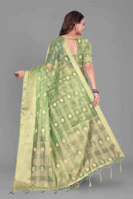 Aarunika LGF Solid/Plain Bollywood Organza Saree(Light Green)