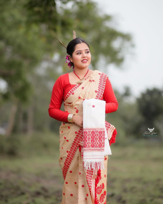 vrajnetic Woven Mekhela Chador Pure Silk Saree(Cream, Red)