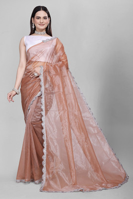Fasharo Embroidered Bollywood Net Saree(Brown)