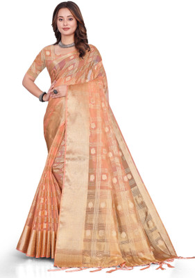 Aarunika SST Printed Bollywood Organza Saree(Cream)