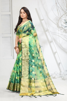 Aarunika SKT Printed Bollywood Organza Saree(Light Green)