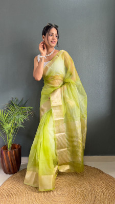 RAGISHA ENTERPRISE Solid/Plain Bollywood Organza Saree(Green)