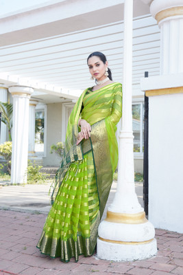 HouseOfCommon Solid/Plain Bollywood Organza Saree(Multicolor)