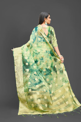 Aarunika AF Woven Bollywood Organza Saree(Light Green)