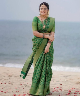 HANSIKA FASHION Applique Banarasi Silk Blend Saree(Green)