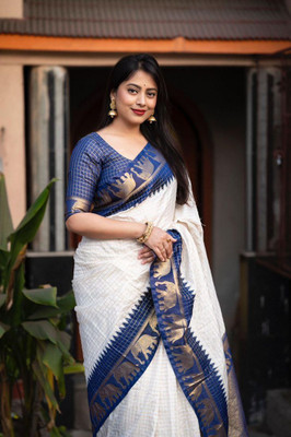 PITHAVADIWALA Pure Silk Solid Blouse Material