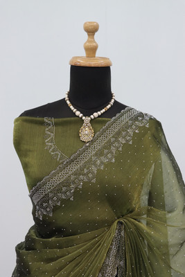 Jennyfab Embellished Bollywood Jimmy choo Saree(Light Green)