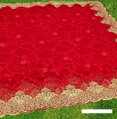 MIYANIFAB Embroidered, Floral Print Bollywood Net Saree(Red)