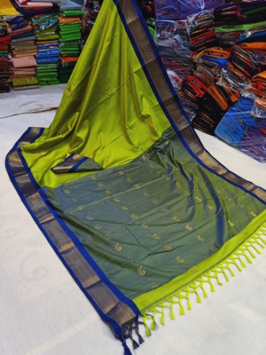 Fab Silk Embroidered Kanjivaram Silk Blend Saree(Light Green, Blue)