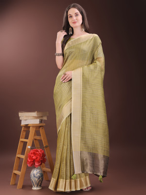 Divastri Woven Banarasi Organza Saree(Green)