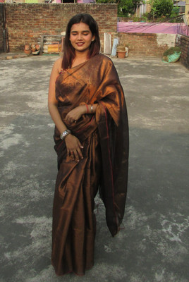 Shaw Creation Solid/Plain Handloom Handloom Tissue Saree(Brown)
