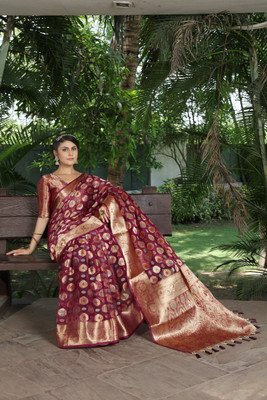 DHRUVIL TEXTILES Self Design Banarasi Organza Saree(Multicolor)