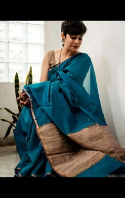 SRIJITA SAREE CENTER Color Block Handloom Pure Silk Saree(Blue)