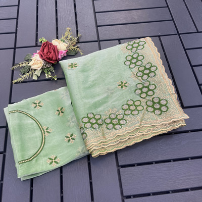 Mikhushop Embroidered Bollywood Net Saree(Light Green)