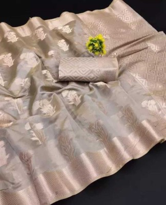 AAGIRI Self Design, Floral Print, Embellished, Woven, Applique Banarasi Organza Saree(Cream)