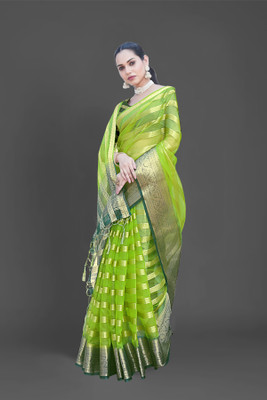 Aarunika BS Striped Bollywood Organza Saree(Light Green)