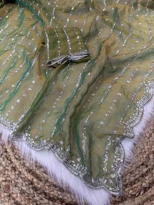 bhavika silk mills Embroidered Bollywood Georgette Saree(Green)