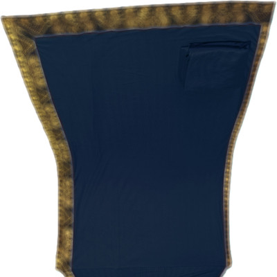 HouseOfCommon Printed Banarasi Lycra Blend, Chiffon Saree(Dark Blue)