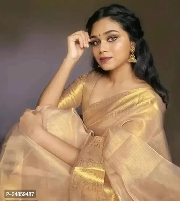 Nilofar Silk Saree Woven, Solid/Plain Banarasi Tissue Saree(Gold)