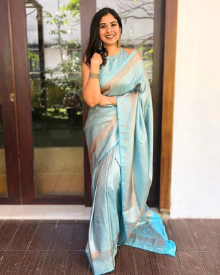 shreebrahmani Embroidered Banarasi Pure Silk Saree(Light Blue)