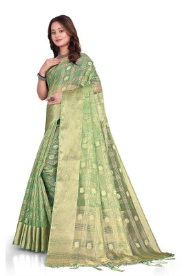 Aarunika MT Woven Bollywood Organza Saree(Light Green)