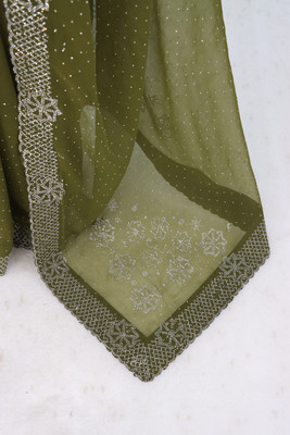 VarniRaaj Fashion Embellished Bollywood Organza Saree(Light Green)