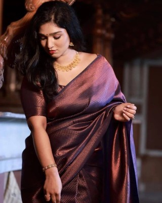 Dhruvil Impex Self Design Banarasi Pure Silk Saree(Purple)