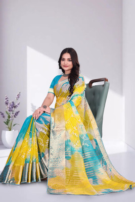 Aarunika BS Solid/Plain Bollywood Organza Saree(Light Blue)