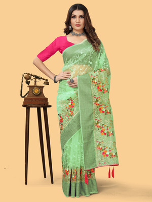 Divastri Embroidered Bollywood Organza Saree(Light Green)