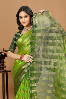 Aarunika MT Solid/Plain Bollywood Organza Saree(Light Green)