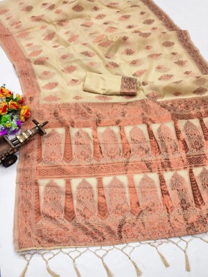 VISVASTA Embellished, Applique, Self Design, Woven Banarasi Cotton Silk Saree(Beige)