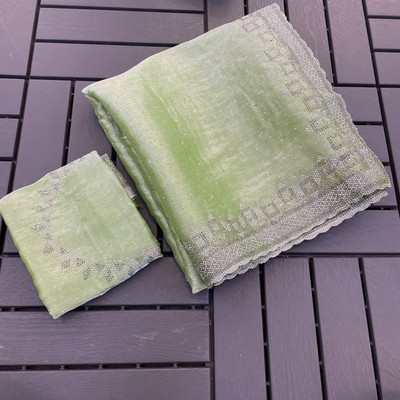 Jennyfab Embellished Bollywood Jimmy choo Saree(Light Green)