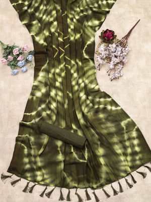 SHIVGANN Solid/Plain Bollywood Chiffon Saree(Light Green)