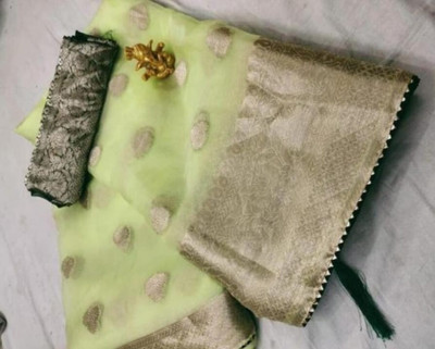 Kavita Creation Self Design Bollywood Organza Saree(Green)