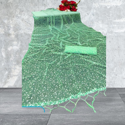 MAAFAB Self Design Bollywood Net Saree(Pack of 2, Green)