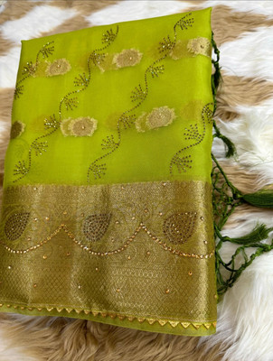 Divastri Embellished Banarasi Organza Saree(Light Green)