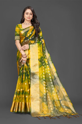 Aarunika SBT Printed Bollywood Organza Saree(Green)