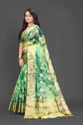Aarunika IC Woven Bollywood Organza Saree(Light Green)