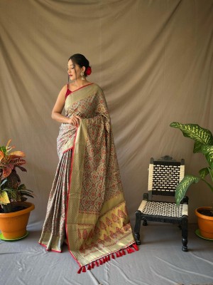 Divastri Woven Daily Wear Polyester Saree(Grey)