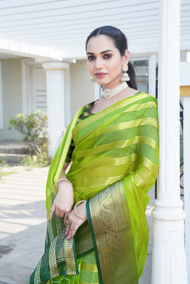 Aarunika IC Solid/Plain Bollywood Organza Saree(Light Green)
