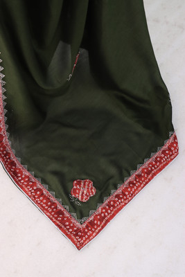 CHAMUNDA CREATION Embroidered Bollywood Silk Blend Saree(Light Green)
