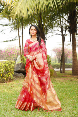 Aarunika SST Printed Bollywood Organza Saree(Multicolor)