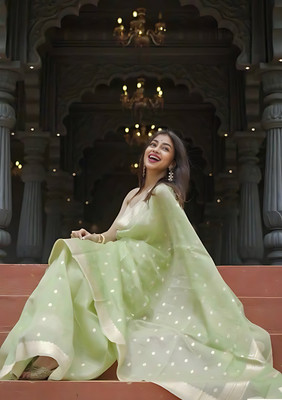 rujave Woven Kanjivaram Linen Saree(Green)