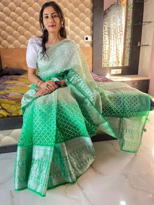 Bansari Textiles Embellished, Applique, Self Design, Woven Bollywood Organza Saree(Light Green)