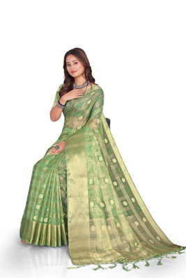 Aarunika IC Printed Bollywood Organza Saree(Light Green)