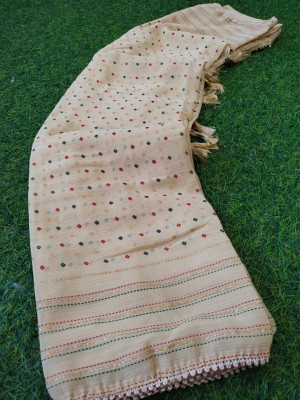 Shatrunjaya Printed Bollywood Chiffon Saree(Beige)