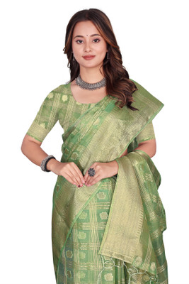 Aarunika IC Printed Bollywood Organza Saree(Light Green)