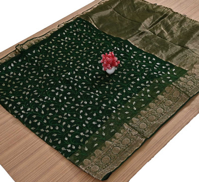 Bhumi Dyed Banarasi Organza Saree(Green)