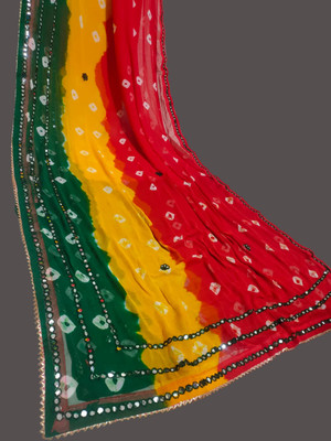 KHATRI AND SONS Embroidered Handloom Chiffon Saree(Multicolor)